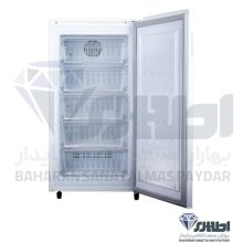 فریزر 9 فوت ایستکول مدل TM 959-95